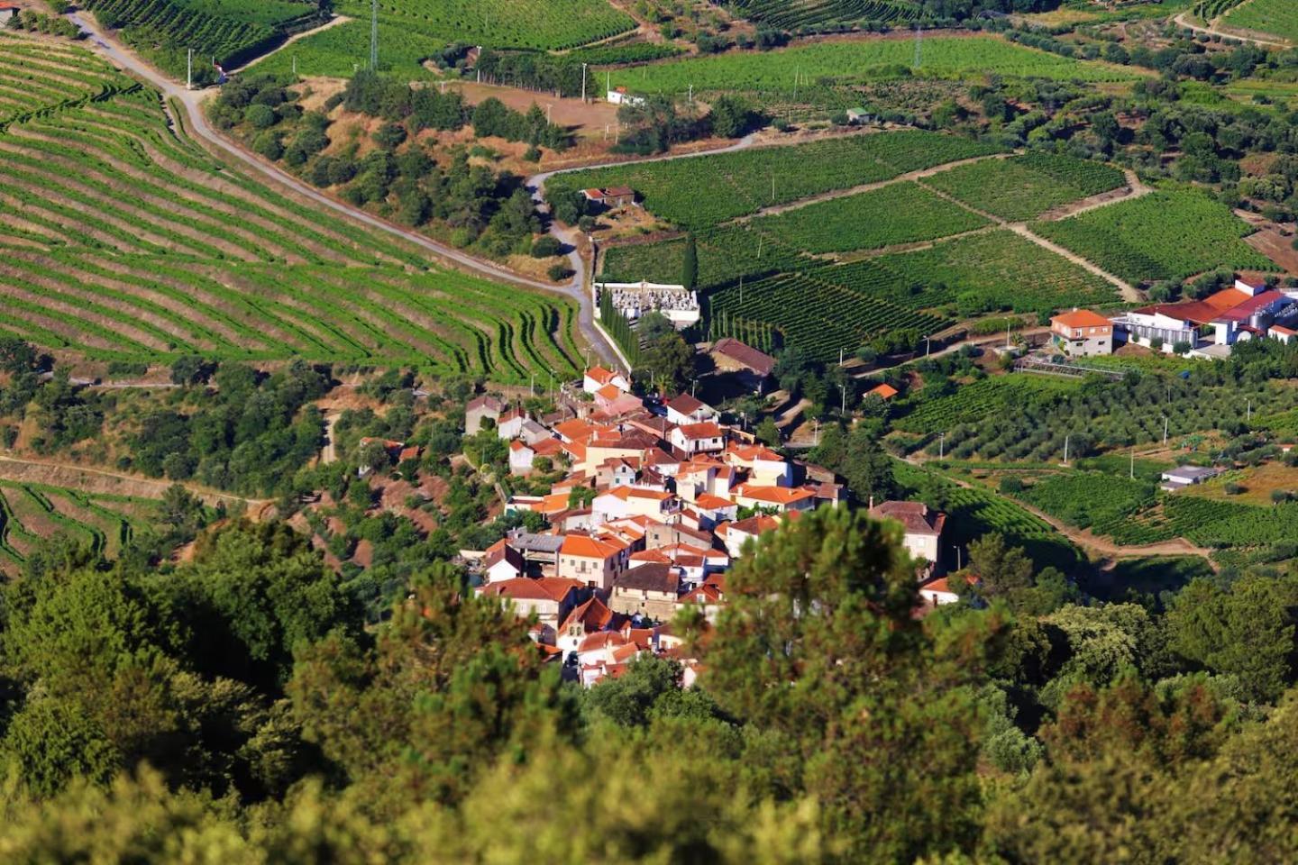 Babhouse Casa Das Abelhas - Coracao Do Douro São João da Pesqueira المظهر الخارجي الصورة